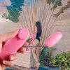trứng rung tình yêu Hải Phòng